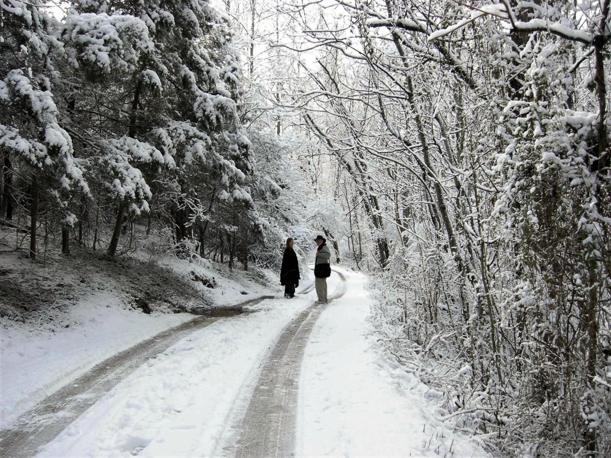 Вілла Heartstone Country Retreat Buena Vista Екстер'єр фото