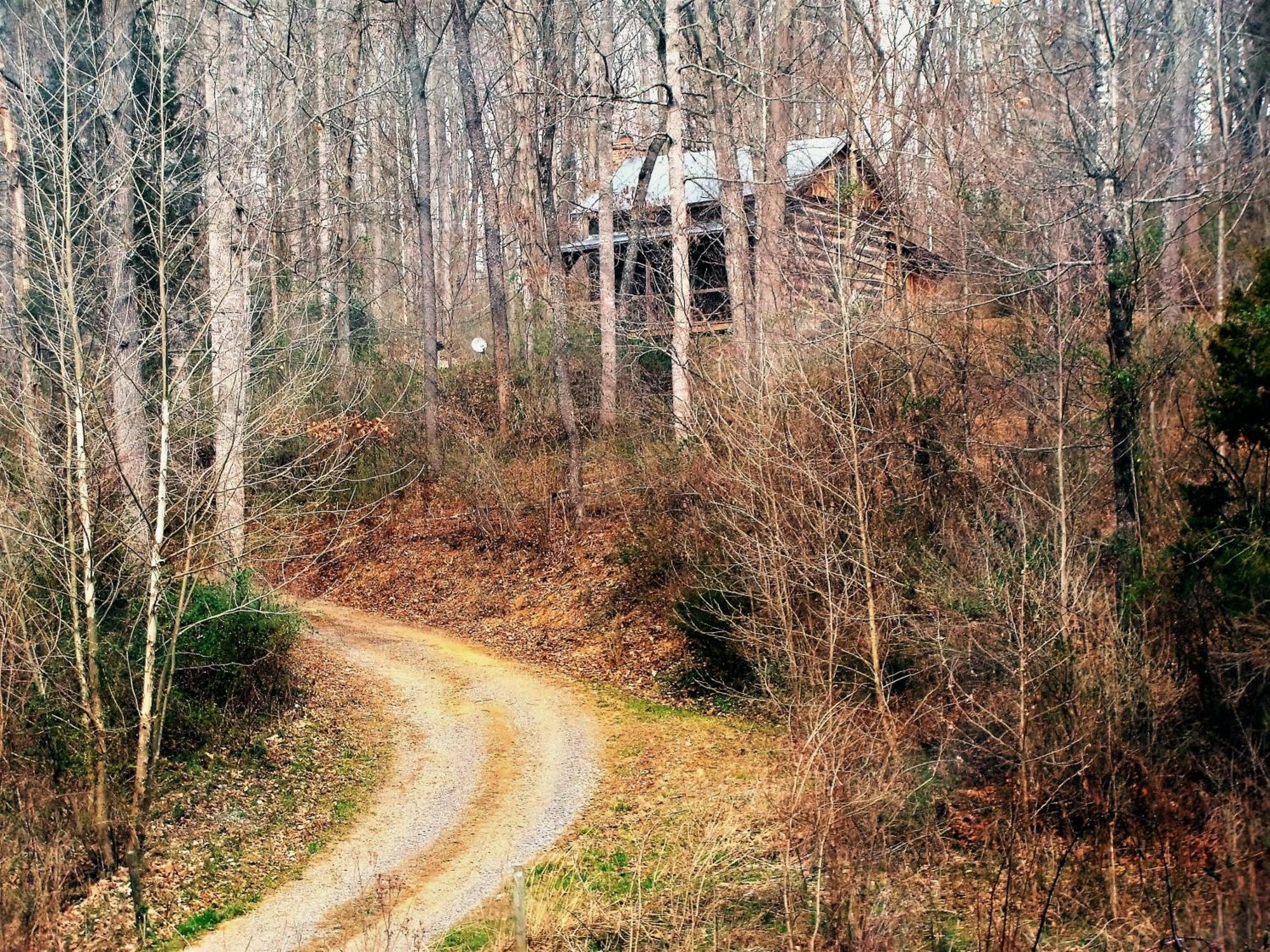 Вілла Heartstone Country Retreat Buena Vista Номер фото